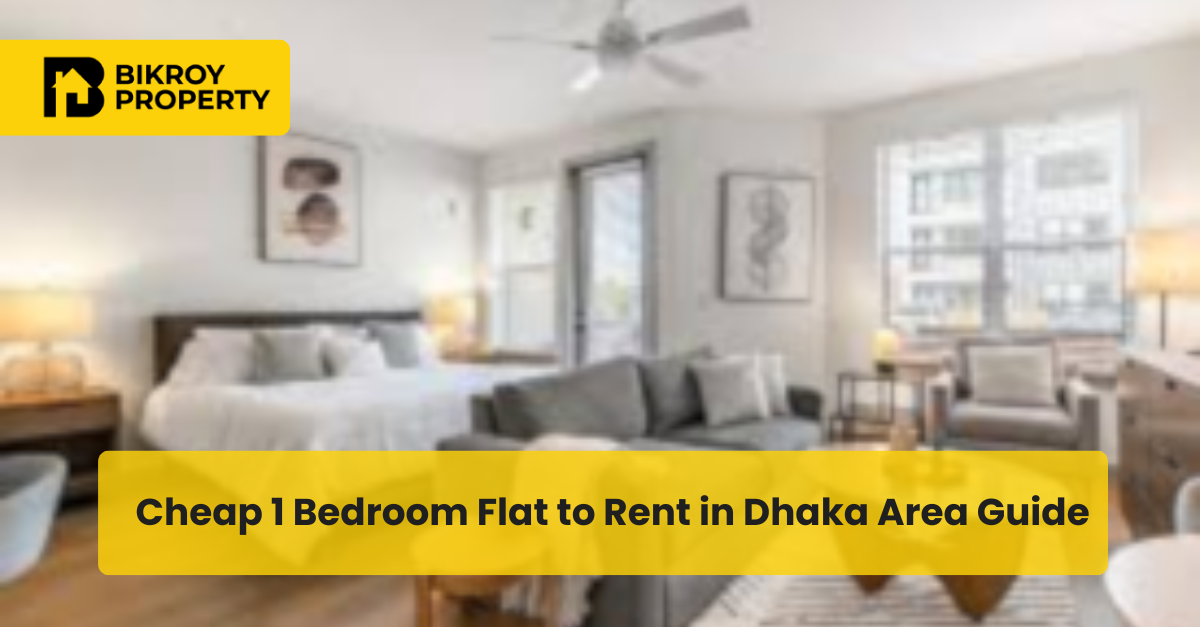 Cheap 1 Bedroom Flat to Rent in Dhaka Area Guide